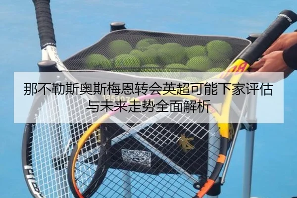 那不勒斯奥斯梅恩转会英超可能下家评估与未来走势全面解析