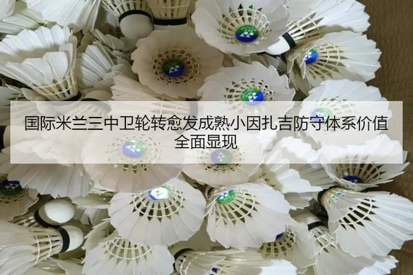 国际米兰三中卫轮转愈发成熟小因扎吉防守体系价值全面显现